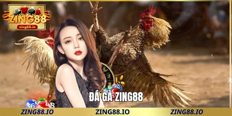 Đá gà Zing88